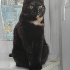 Схема вышивки «Умка»