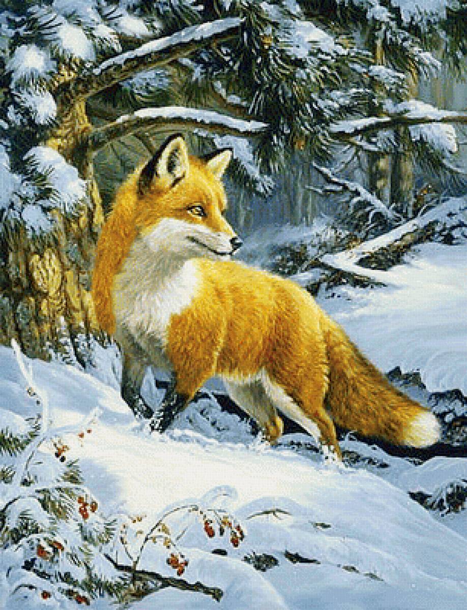 226 - лесные жители - предпросмотр