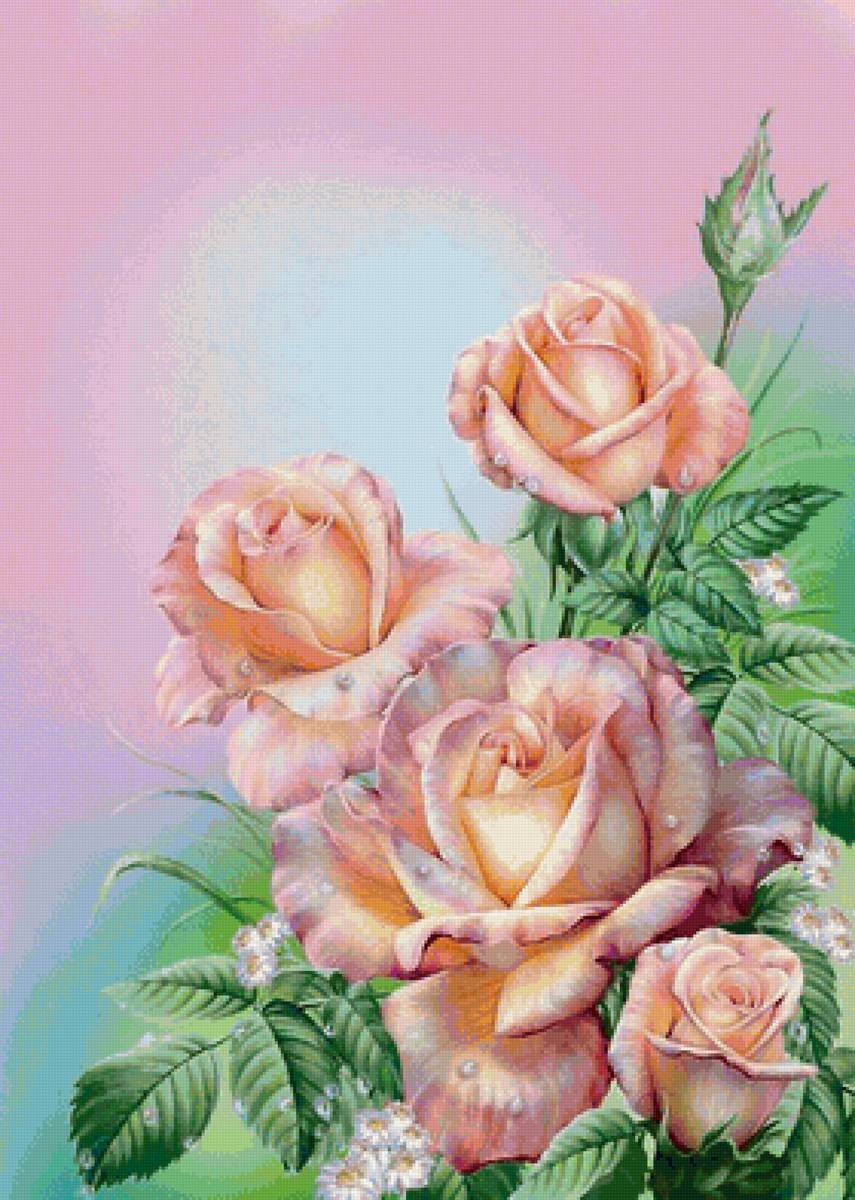 ruže - предпросмотр