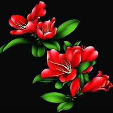 Цветущая веточка