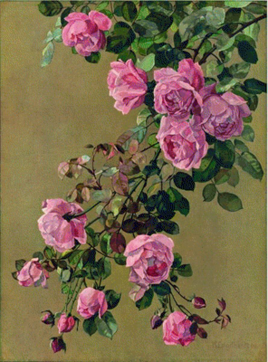 ветка розы - розы, цветы - предпросмотр