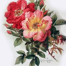 Схема вышивки «№1283891»