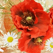 Схема вышивки «Маки в ромашках»