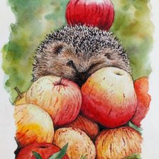 Ёжик в яблоках