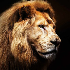 Схема вышивки «№1284236»