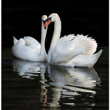 Схема вышивки «№1284241»