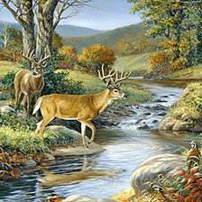 Схема вышивки «на водопое»