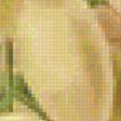Предпросмотр схемы вышивки «белый виноград» (№1284525)
