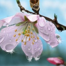 Схема вышивки «Яблонька в цвету»