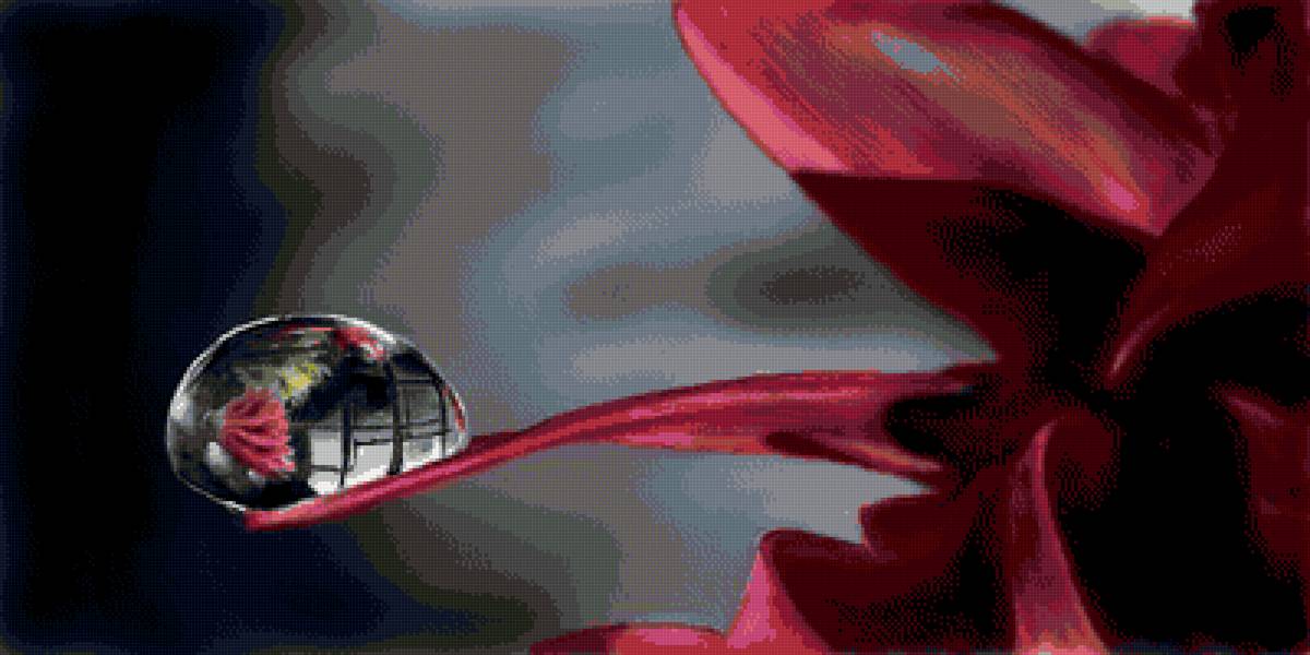 Лилия - цветы, лилия, капля - предпросмотр