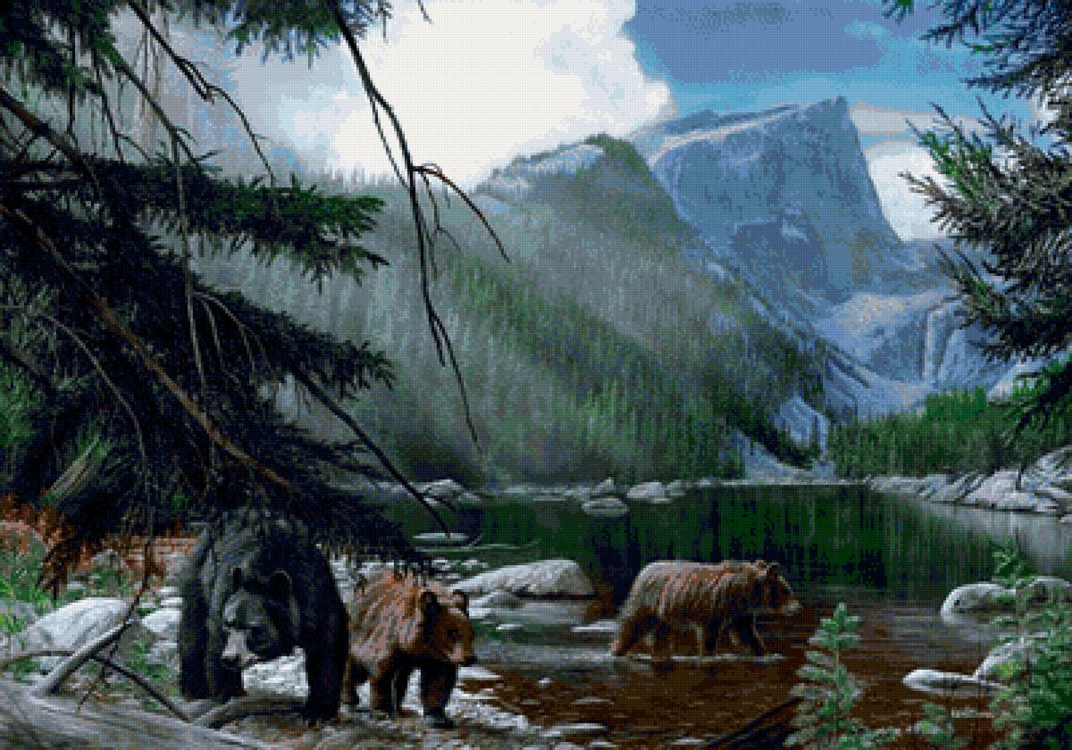 мишки - предпросмотр