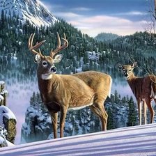 Схема вышивки «олени в лесу»