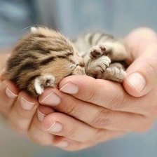 Схема вышивки «в руках»