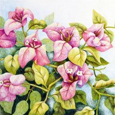 Схема вышивки «№1285476»