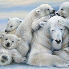 Схема вышивки «Белые медведи»