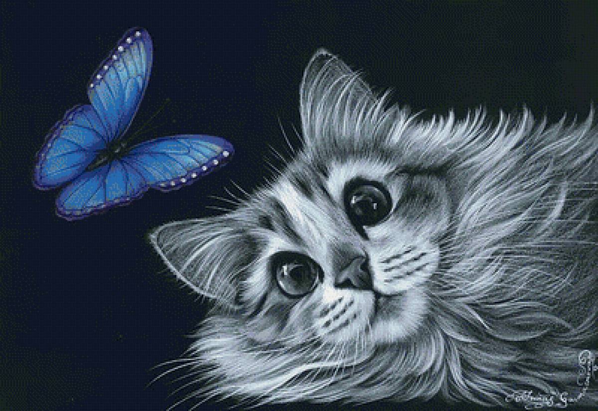 котик и бабочка - животные - предпросмотр