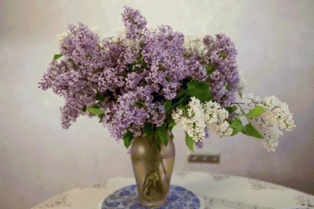 Сирень на День Рождения - натюрморт, сирень, ваза, цветы - предпросмотр