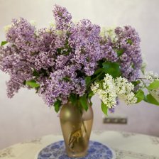 Схема вышивки «Сирень на День Рождения»