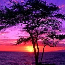 Схема вышивки «берег»