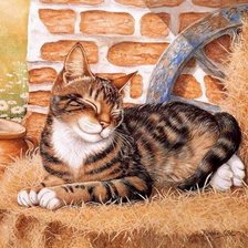 Схема вышивки «53»