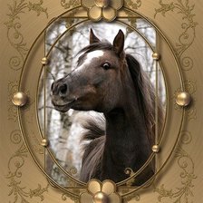 Схема вышивки «№1286342»