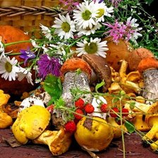 Схема вышивки «Осенняя радость»