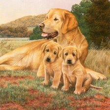 Схема вышивки «лабрадошки»