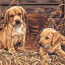 Схема вышивки «шалунишки»