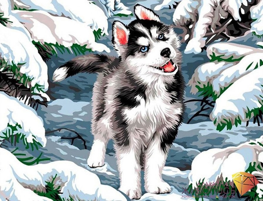 хаски - оригинал