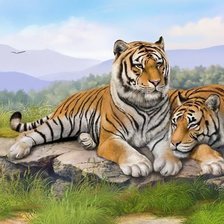 Схема вышивки «61»