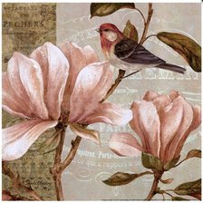 винтаж магнолия