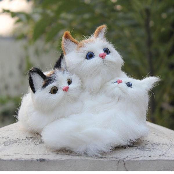 Quỳnh - mèo - оригинал