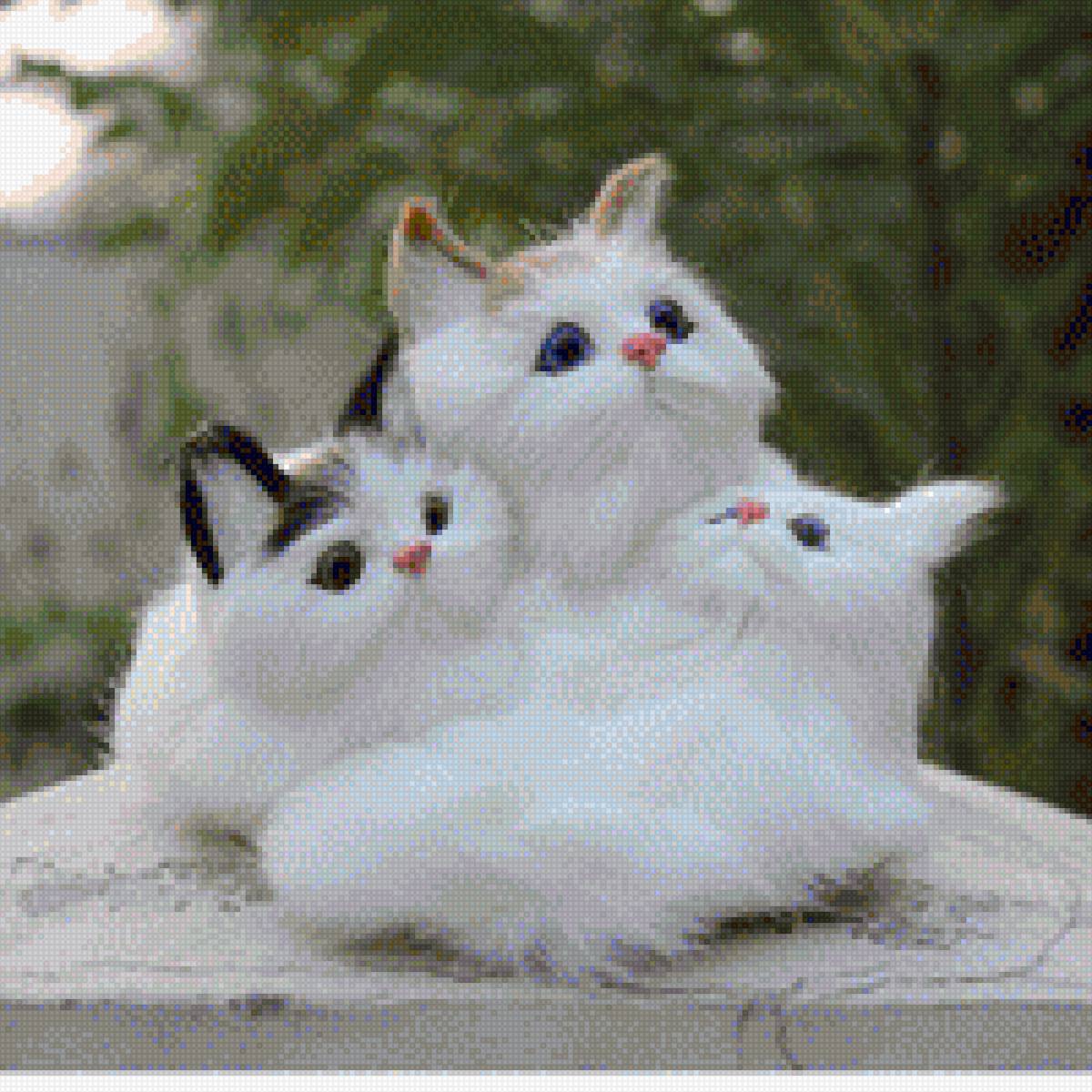 Quỳnh - mèo - предпросмотр