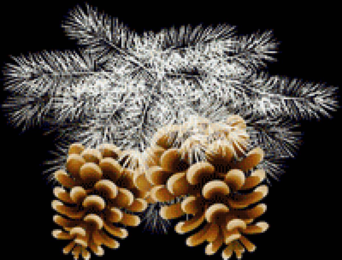 Сосновые Шишки - шишки, новый год - предпросмотр