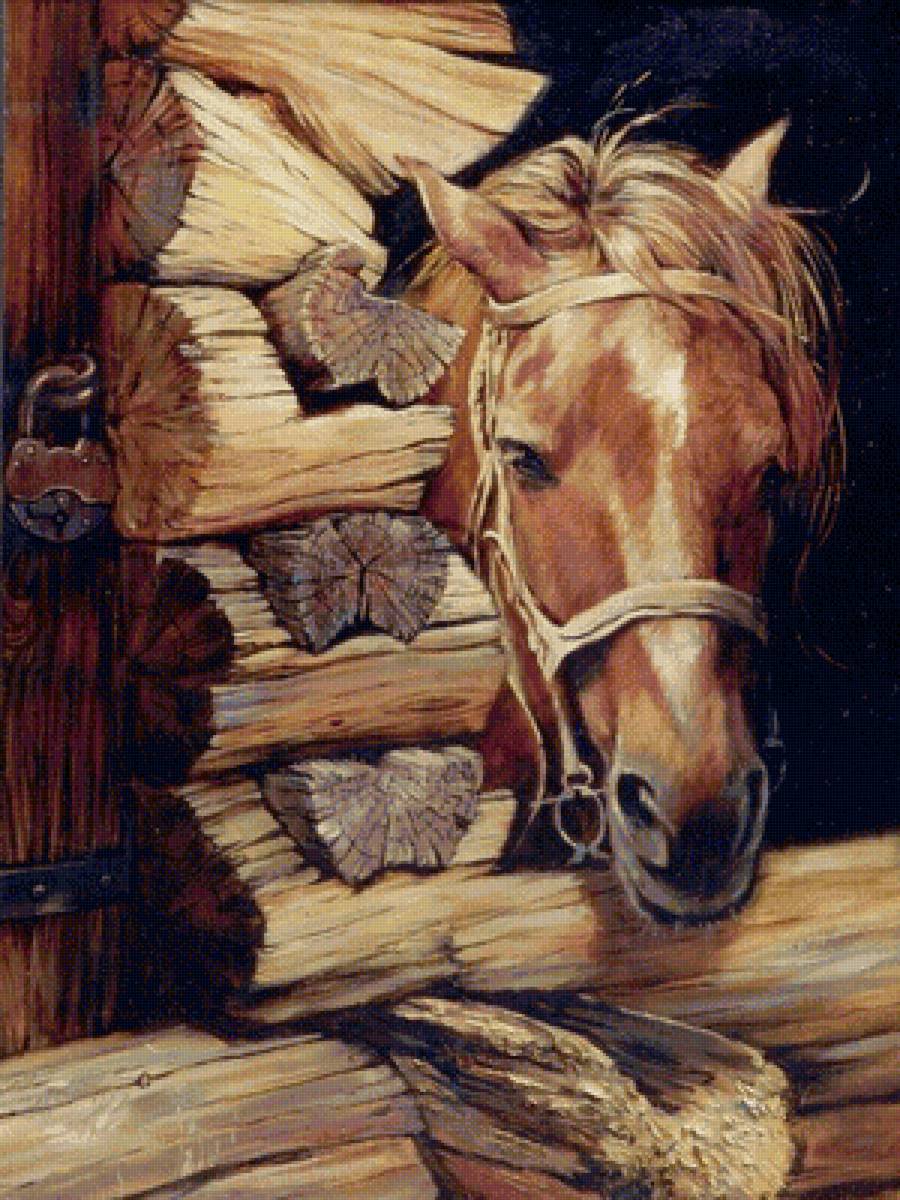 Лошадка - лошади, природа, животные - предпросмотр