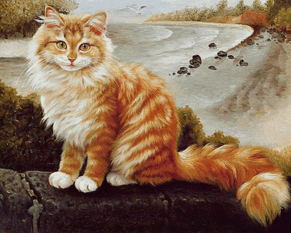 рыжий котик - кот - предпросмотр