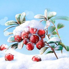 Схема вышивки «клюква в "сахаре"»