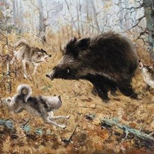 Охота на кабана