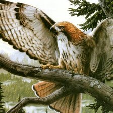 Схема вышивки «Серия "Пташка"»