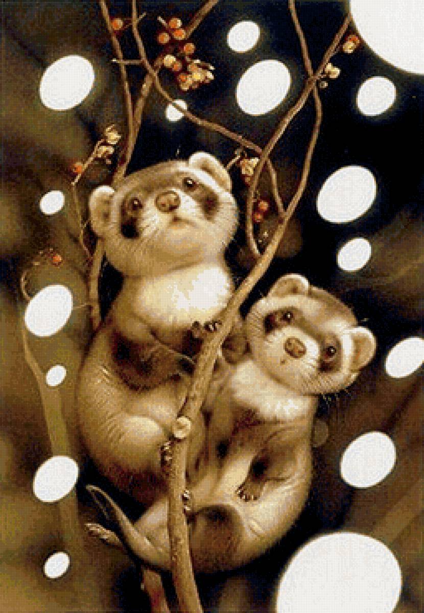 Хорьки - предпросмотр