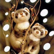 Схема вышивки «Хорьки»