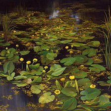 Схема вышивки «№1288257»