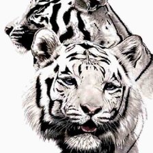 Схема вышивки «Тигры 2»