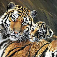 Схема вышивки «№1288554»