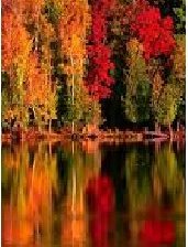 Схема вышивки «Tópart»