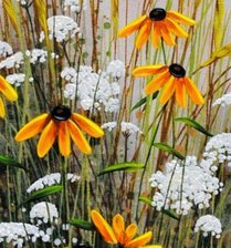 Схема вышивки «№1289299»