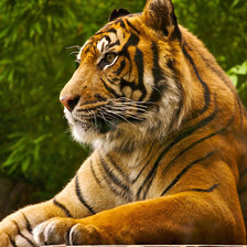 Схема вышивки «№1289521»