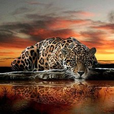 Схема вышивки «№1289523»