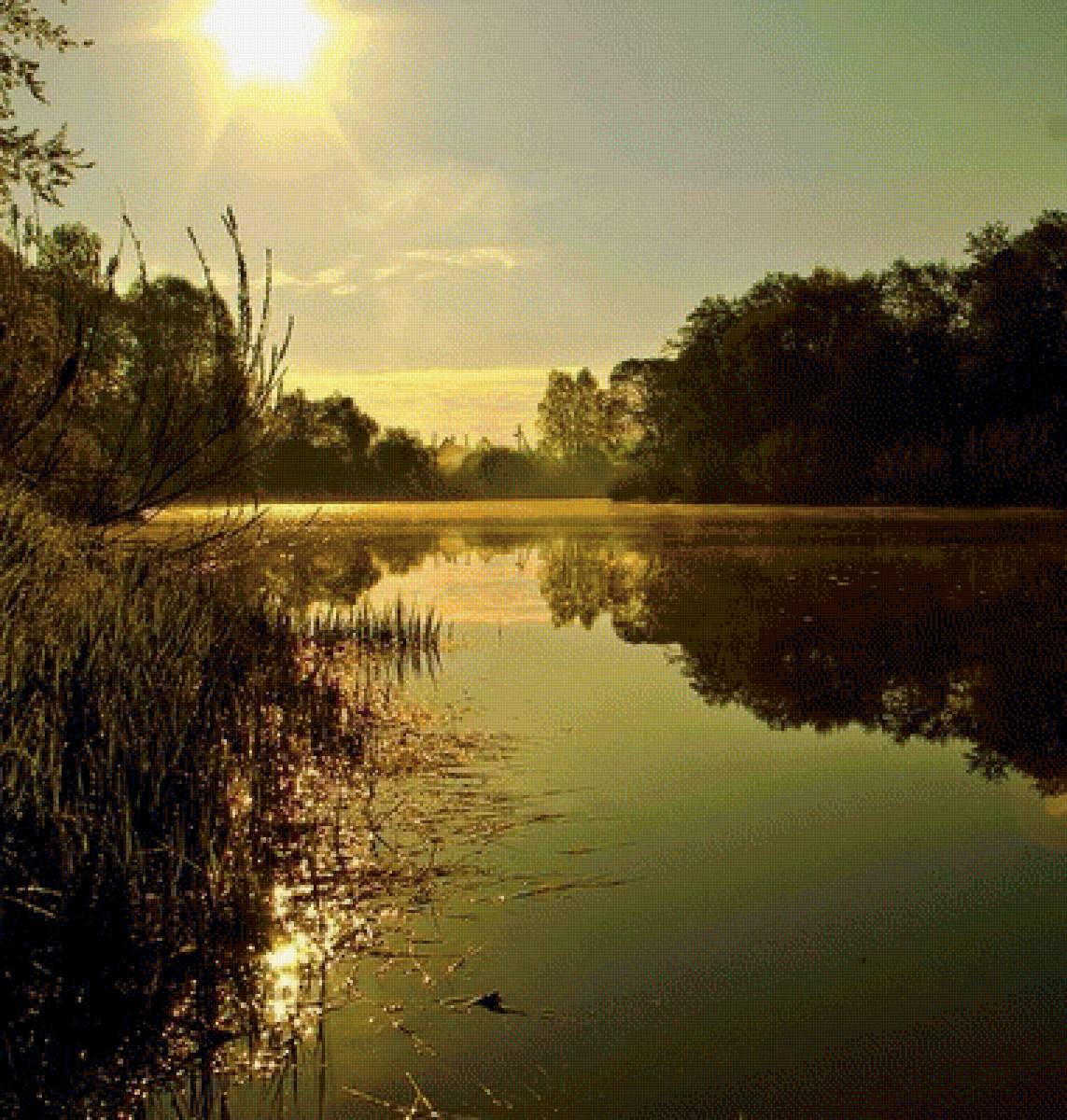 №1289721 - предпросмотр