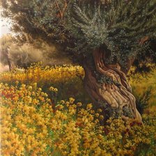 Схема вышивки «лето»